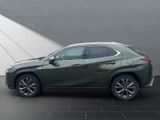 LEXUS UX 250h*FSPORT-D*1HD*ALLW.R*LEDER* 15J-GARANTIE*