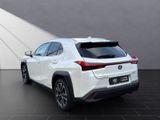 LEXUS UX 250 h Style Edition*Navi*11J.Garantie*