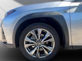 LEXUS UX 250h*F-SPORT-D*1.HD*NAVI*SHZ*CARPLAY*PDC*