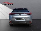 LEXUS UX 250h*F-SPORT-D*1.HD*NAVI*SHZ*CARPLAY*PDC*