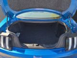 FORD Mustang GT Fastback Scheckheft WKR+SKR