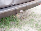 MERCEDES-BENZ Vito 119 KASTEN MIXTO ALLRAD AUTOM AHK KAMERA