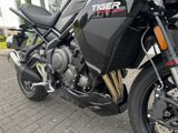 TRIUMPH Tiger Sport 800 Sofort Verfügbar