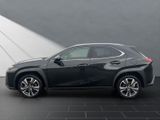 LEXUS UX 250h*STYLE*1HD*ALLW.* 15J-GARANTIE*