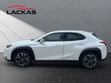 LEXUS UX 250h*STYLE*1HD*CARPLAY*SHZ* 15J-GARANTIE*