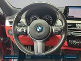BMW X2 xDrive20i Advantage Plus Head-Up+Navi+ACC+SHZ