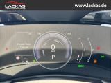 LEXUS NX 350h h 243 PS * Sitzklima Connect - Paket 360