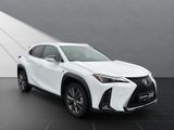 LEXUS UX 250h*F-SPORT-D.*1.HD*ALLW.REIF** 15J-GARANTIE