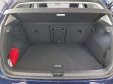 VW Golf VIII Active 1.5 TSI NAVI+SITZHZ+PDC+CARPLAY