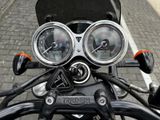 TRIUMPH Bonneville T100 Black 1.Hand+Seitentaschen