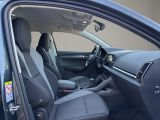 SKODA Karoq Drive 125 Klima Einparkhilfe Standheizung