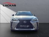 LEXUS UX 250h Style CARPLAY+NAVI+PDC