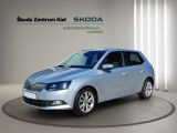 SKODA Fabia 1.0 MPI Joy Green tec Klima Einparkhilfe
