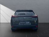 LEXUS UX 250 h*LED*TOP* KAMERA*NAVI*FACELIFT