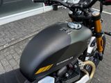 TRIUMPH Scrambler 900 MY26 Sofort Verfügbar!