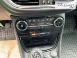 FORD Puma Titanium AHK-abnehmbar Allwetterreifen
