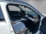 ALPINE A 290 GT Premium Driving + Safety Paket Telemetrics