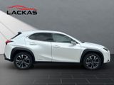 LEXUS UX 250h*STYLE*1HD*CARPLAY*SHZ* 15J-GARANTIE*
