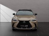 LEXUS NX 350h E-Four Overtrail*PANORAMA*MARKLEVINSON*