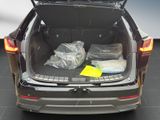 LEXUS NX 350h Executive 4x4Interieur Technologie-Paket