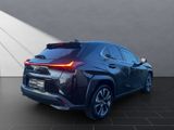 LEXUS UX 250h*1HD*SHZ*ALLW.* 15J-GAARANTIE