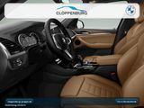 BMW X3 xDrive20d xLine Head-Up+AHK+StHz+Navi+Pano+BT