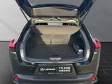 LEXUS UX 250H*F-SPORT-DESIGN*CARPLAY*15 JAHRE GARA
