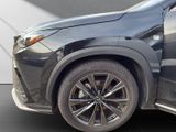 LEXUS NX 350h F Sport