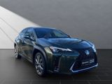 LEXUS UX UX250h*F-SPORT-D.*1HD*NAVI*SHZ 15J-GARANTIE*