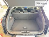 FORD Puma Gen-E 124 kW Premium FWD El. Panodach Navi Leder Digitales Cockpit Soundsystem B & O