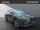 LEXUS NX 350 h 243 PS Executive Inter ieur Paket + Tec