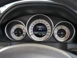 MERCEDES-BENZ E 220 Bluetec Cabrio KAMERA SPUR PDC SHZ
