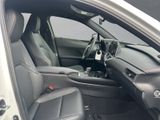 LEXUS UX 300 h F-Sport Design Technologie-Paket