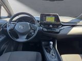 TOYOTA C-HR HYBRID BUSINESS EDITION*CARPLAY*TOP