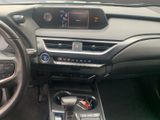 LEXUS UX 250H*1HAND*TOTW*SCHECKHEFT*