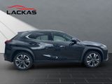 LEXUS UX UX Crossover Style Edition 250h Frontantrieb