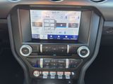 FORD Mustang GT Fastback Scheckheft WKR+SKR