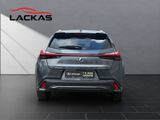 LEXUS UX 300 h F Sport Design Tech-Paket