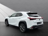 LEXUS UX 250h*F-SPORT-D.*1.HD*ALLW.REIF** 15J-GARANTIE