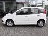 FIAT New Panda Pandina Pop