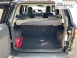 FORD EcoSport Titanium Navi Klimaautom Winterpaket