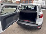 FORD EcoSport Cool & Connect PDC Temp Allwetterreifen