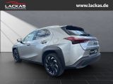 LEXUS UX 250h STYLE*FWD*EDITION*FACE LIFT*LED*CARPLAY*