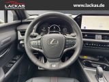 LEXUS UX 300h F-Sport Navi LED ACC Apple CarPlay