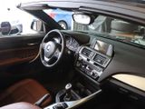 BMW 220i Luxury Line Leder Klima PDC 17 LM