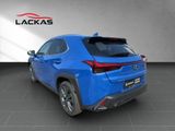 LEXUS UX 300h F-SPORT-D.*SOFORT *15JH-GARANTIE*