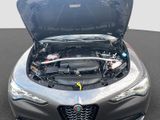 ALFA ROMEO Stelvio Veloce 2.2D Q4 eAHK+Techno-Paket