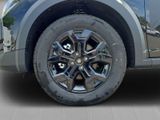 DACIA Sandero III Stepway Extreme Eco-G 120 SHZ LHZ PDC 360°
