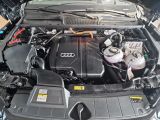 AUDI Q5 55 TFSI e quattro S-line S-tronic Navi+ B&O