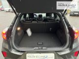 FORD Puma ST-Line X Navi Digitales Cockpit Soundsystem B & O LED ACC El. Heckklappe Apple CarPlay